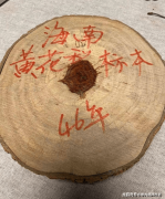<b>为什么海黄手串能经得起市场玩家？</b>